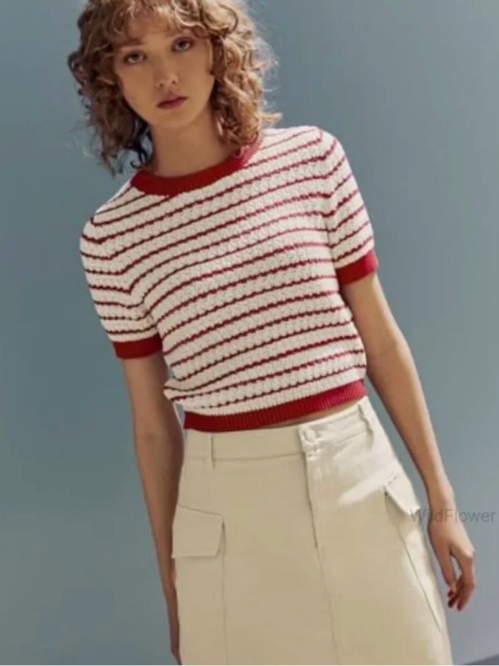 Pinch Red & White Striped Short Sleeve Knit Top